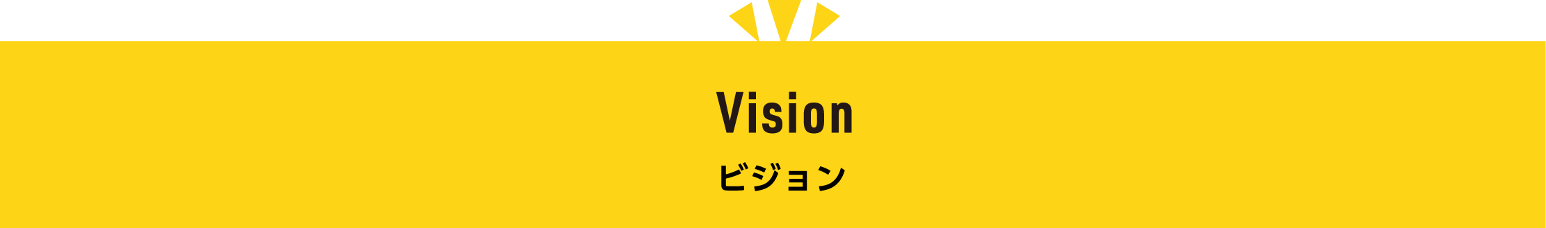 Vision ビジョン